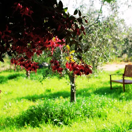 Bed & Breakfast Don Federico Country