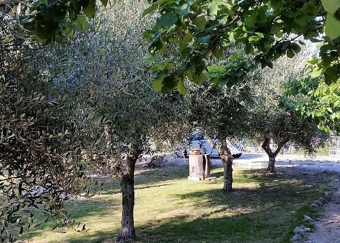 Don Federico Country