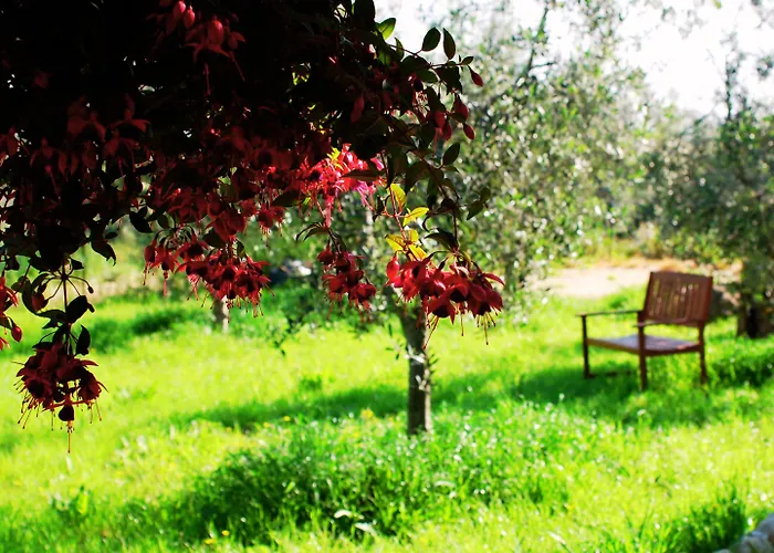 Don Federico Country 3* Moscufo