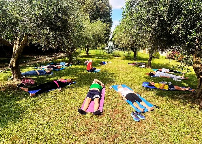 Don Federico Country